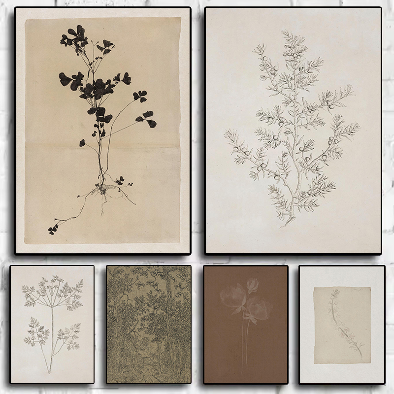 Interior Design Poster - Vintage Minimalist Olive Branch Drawing Botanical