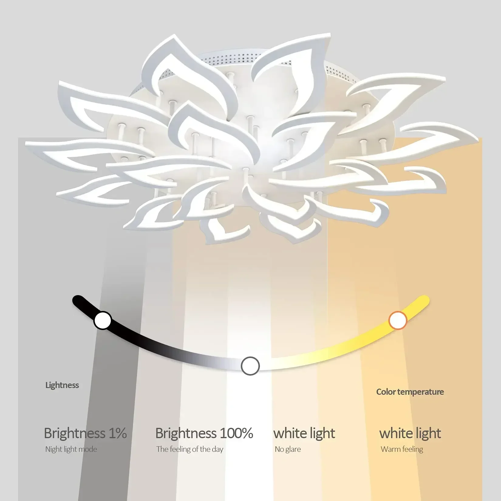 Designer LED Petal Chandelier  - Interior Design Kitchen And Living Room 리뷰 및 가격