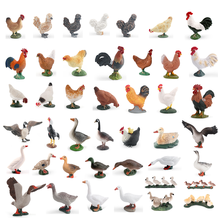 Simulation Farm Poultry Animal - Interior Design House 리뷰 및 가격