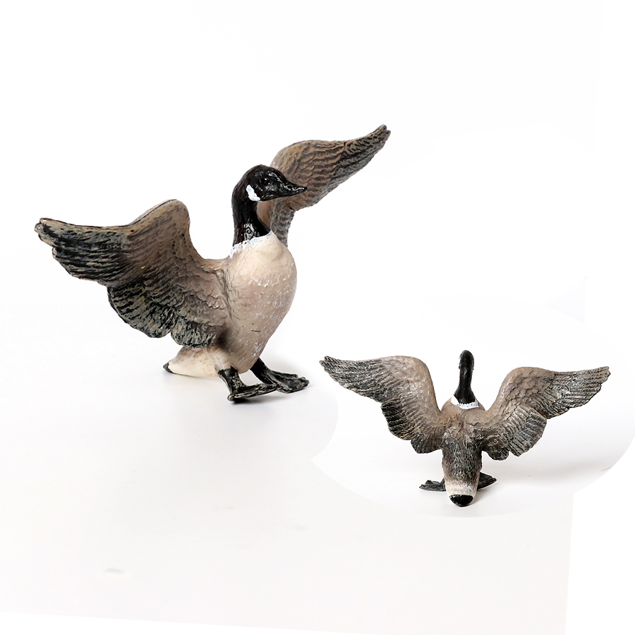Simulation Farm Poultry Animal - Interior Design House 리뷰 및 가격