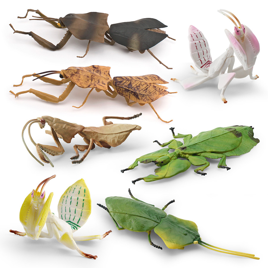 Realistic Orchid Mantis Dead L - Interior Design House 리뷰 및 가격