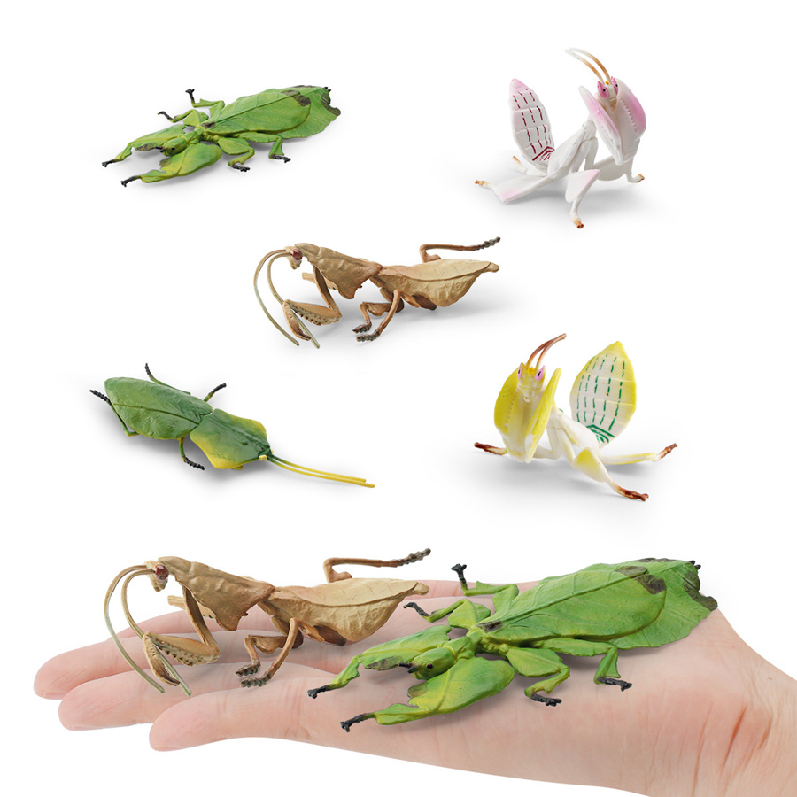 Realistic Orchid Mantis Dead L - Interior Design House 리뷰 및 가격